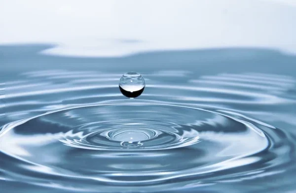 cropped-cropped-cropped-Acqua-More4Water-e1712680456837-bcda8eeb.webp